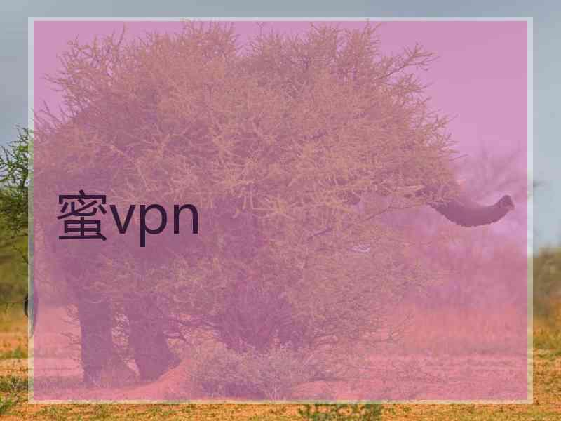 蜜vpn