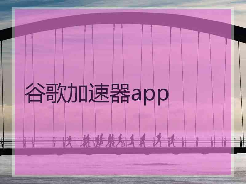 谷歌加速器app