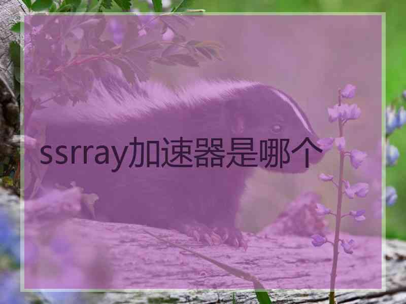 ssrray加速器是哪个