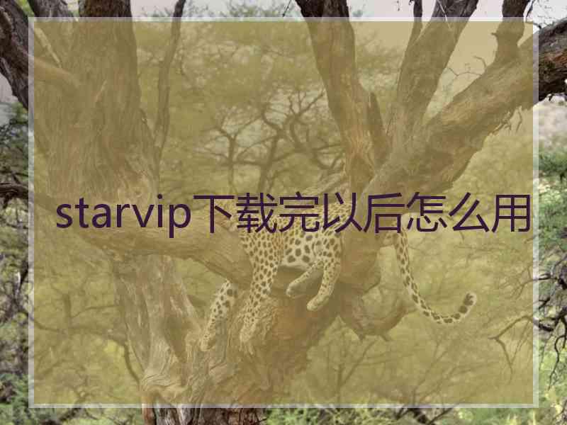 starvip下载完以后怎么用