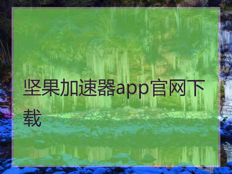 坚果加速器app官网下载