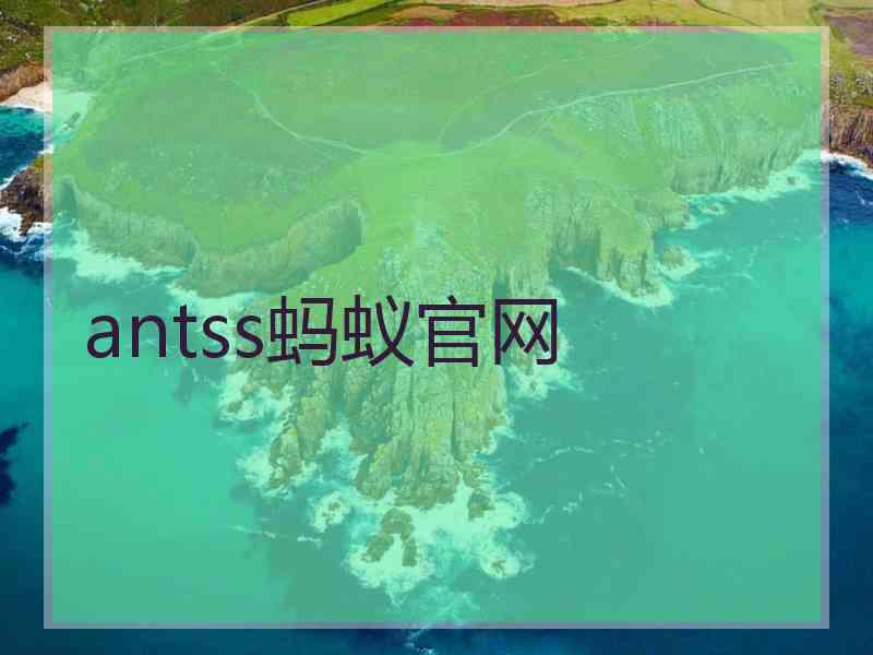 antss蚂蚁官网