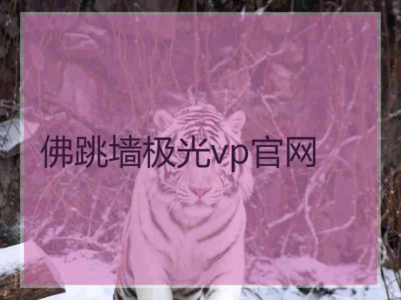 佛跳墙极光vp官网