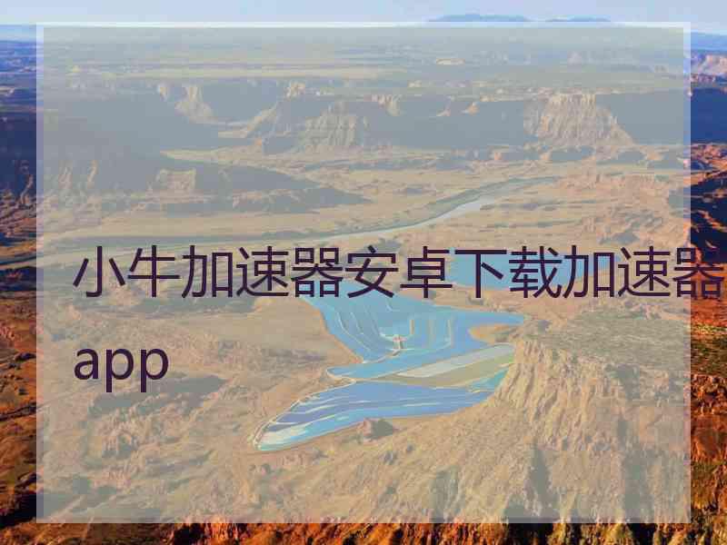 小牛加速器安卓下载加速器app