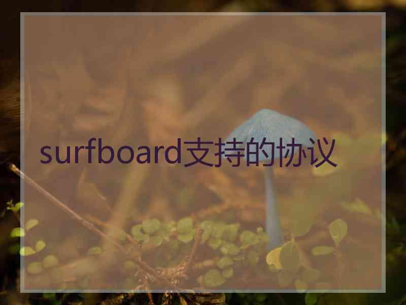 surfboard支持的协议