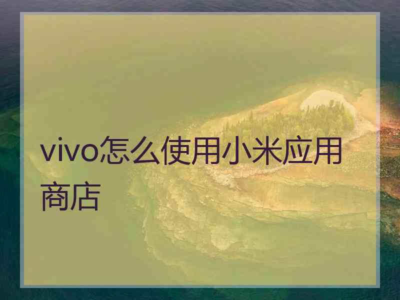 vivo怎么使用小米应用商店