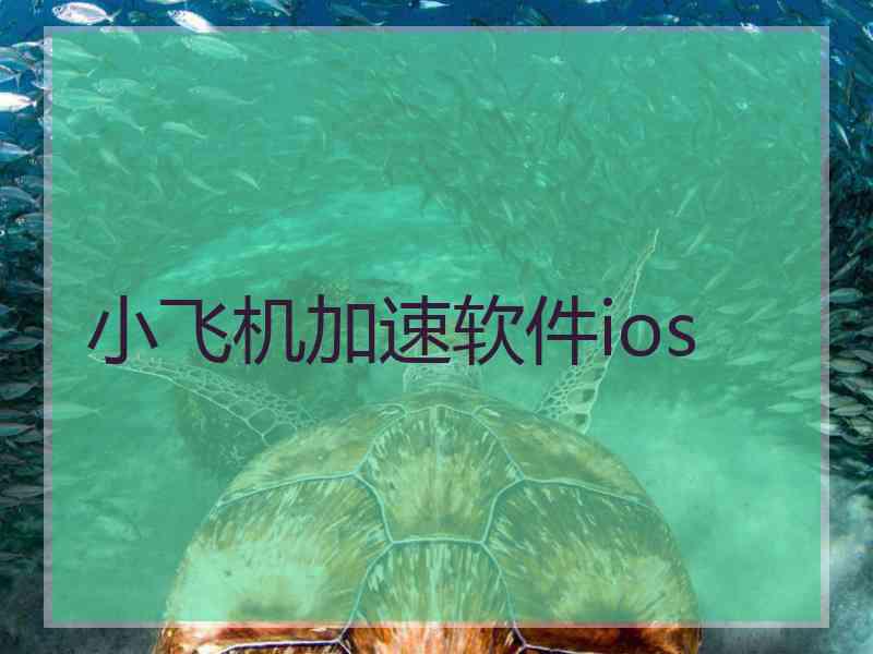 小飞机加速软件ios