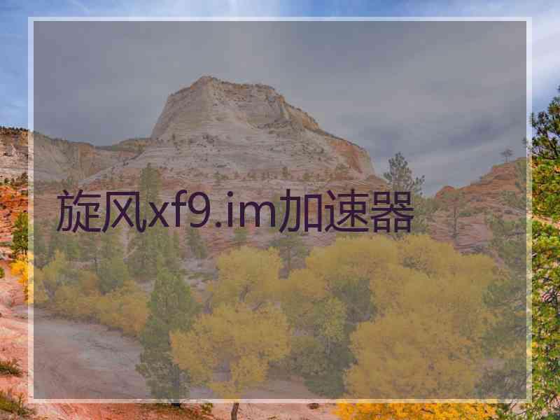 旋风xf9.im加速器