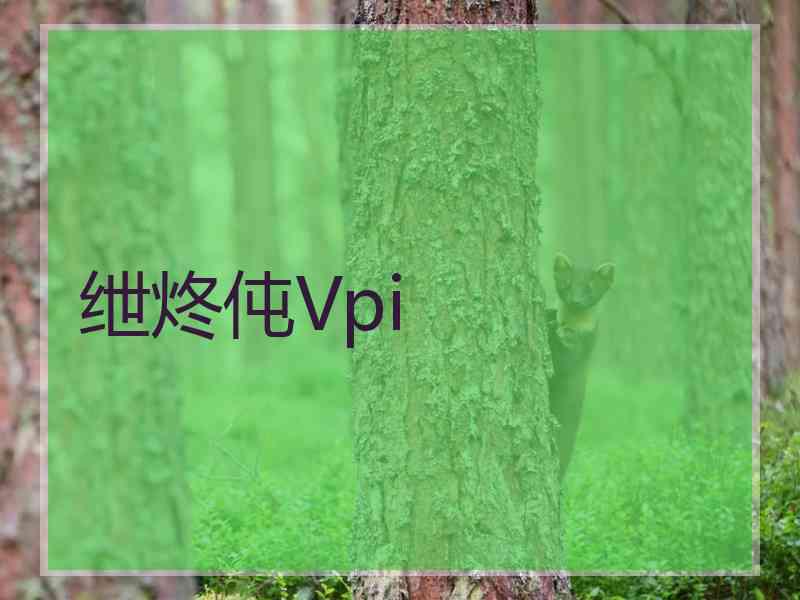 绁炵伅Vpi