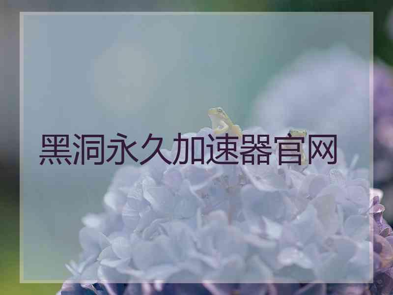 黑洞永久加速器官网