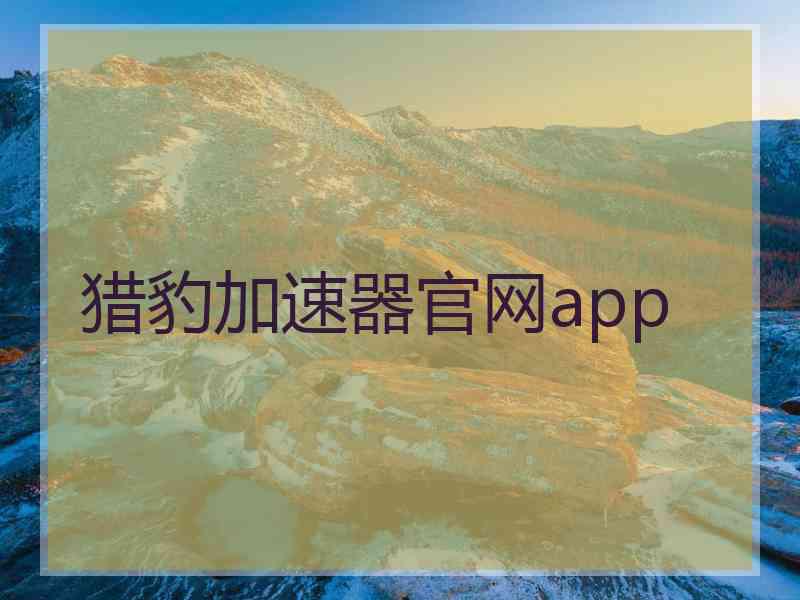 猎豹加速器官网app