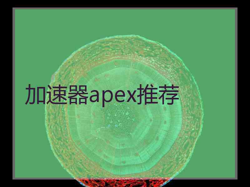 加速器apex推荐