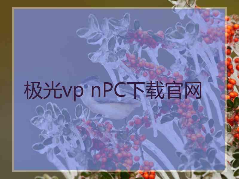 极光vp nPC下载官网