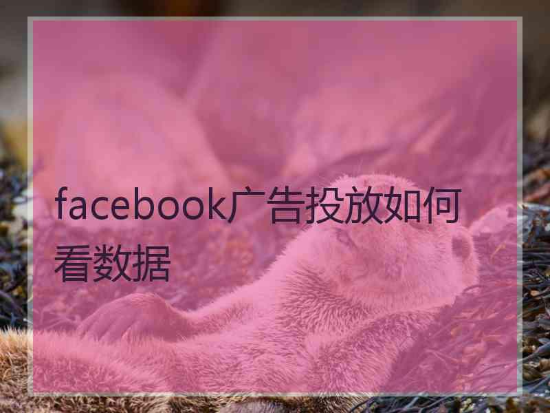 facebook广告投放如何看数据