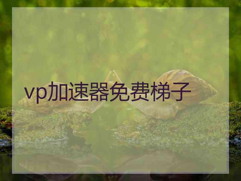 vp加速器免费梯子