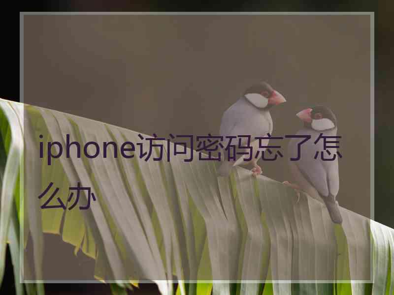 iphone访问密码忘了怎么办