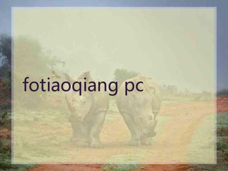 fotiaoqiang pc