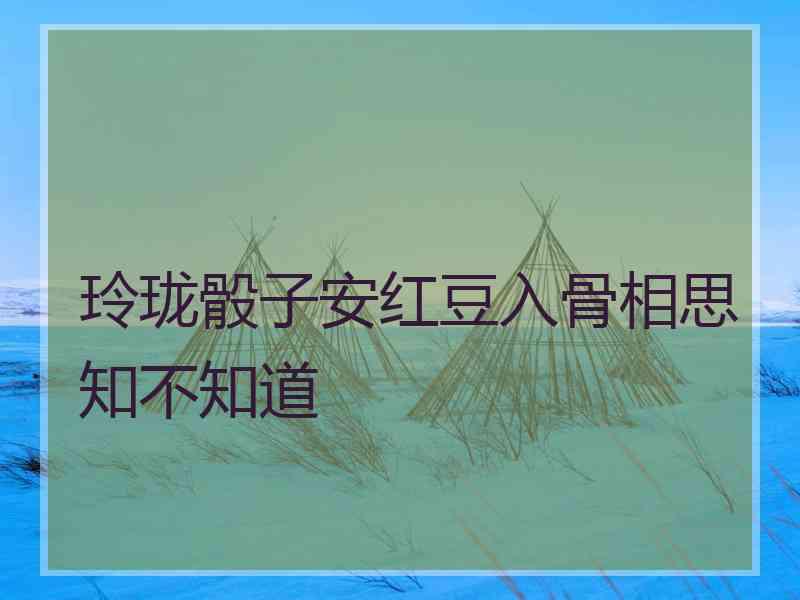 玲珑骰子安红豆入骨相思知不知道