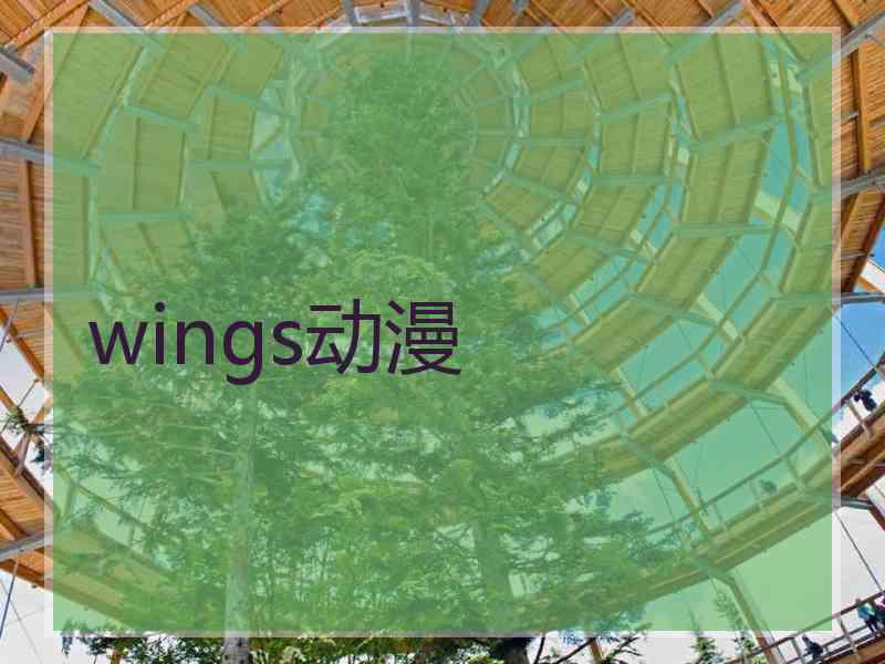 wings动漫