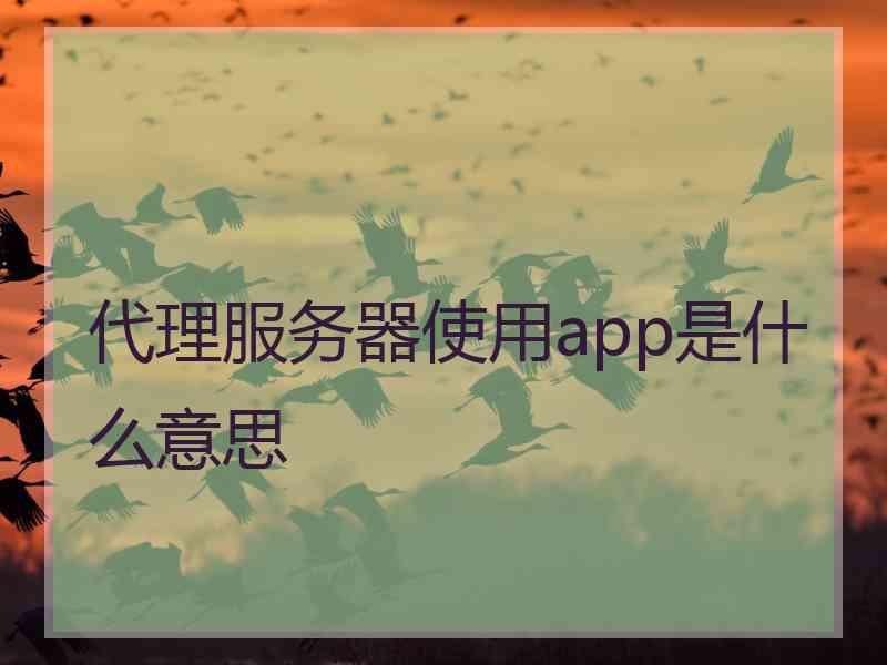 代理服务器使用app是什么意思