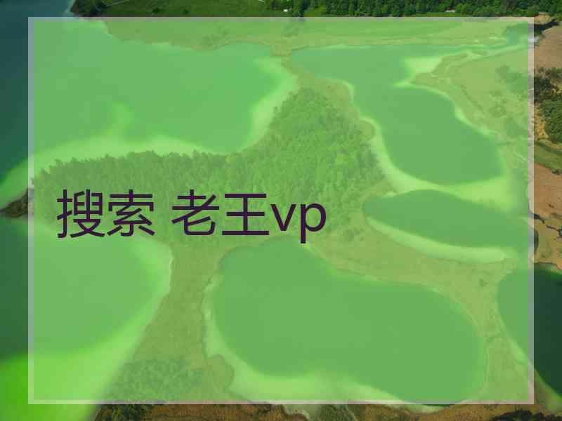 搜索 老王vp