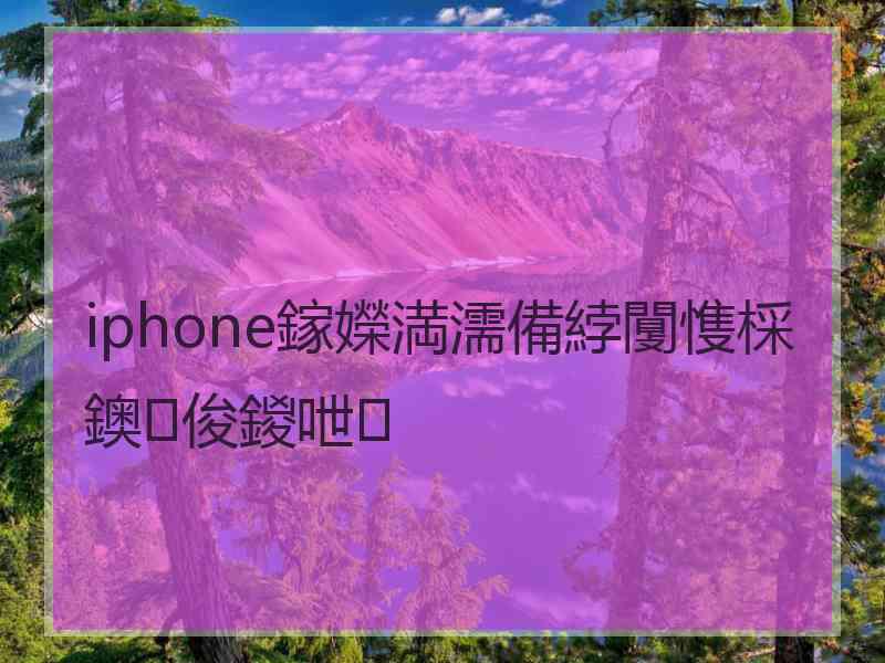 iphone鎵嬫満濡備綍闅愯棌鐭俊鍐呭