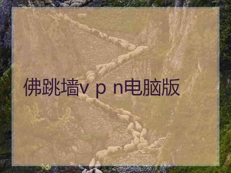 佛跳墙v p n电脑版