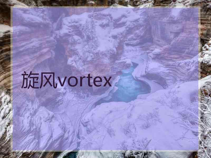 旋风vortex