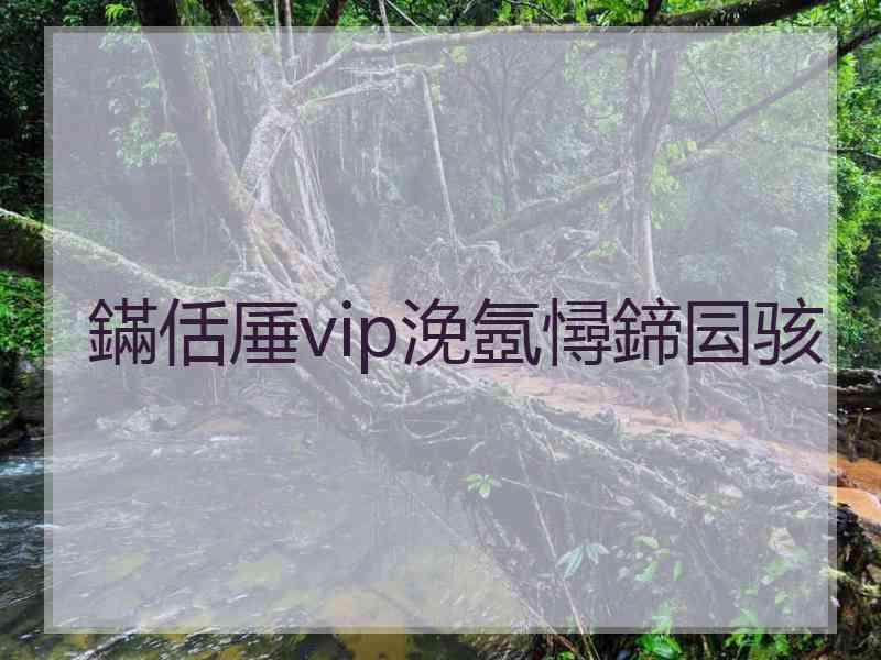 鏋佸厜vip浼氬憳鍗囩骇