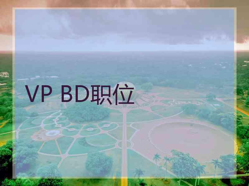 VP BD职位