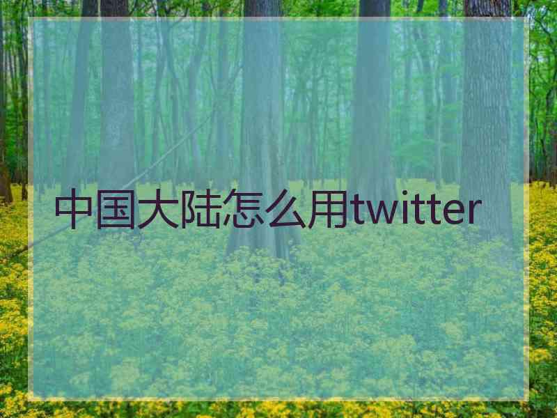 中国大陆怎么用twitter