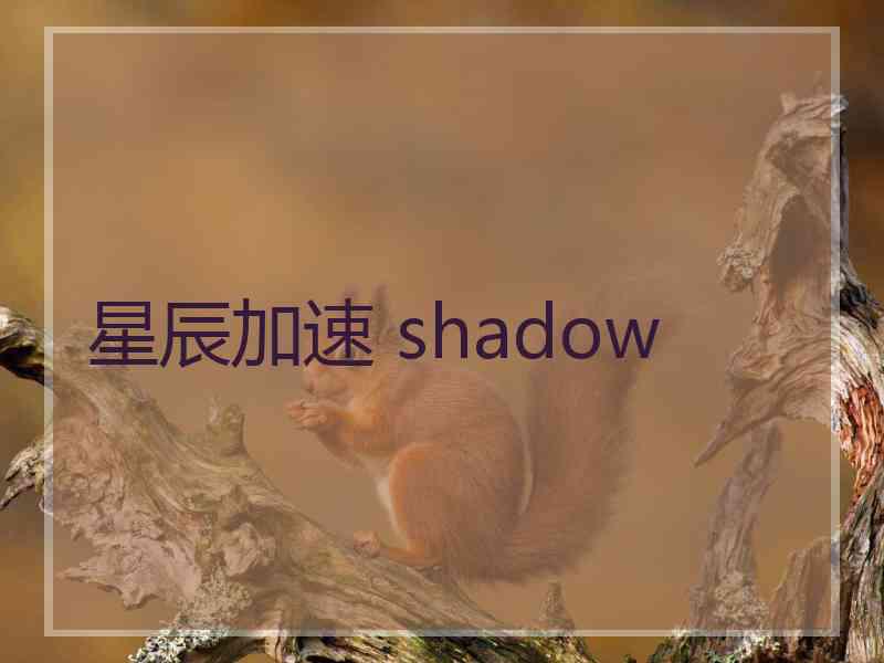 星辰加速 shadow