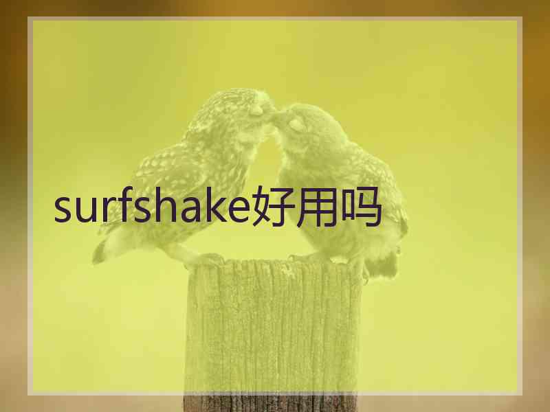 surfshake好用吗