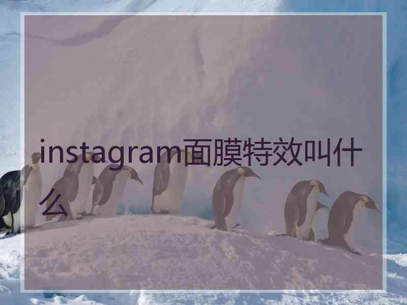 instagram面膜特效叫什么