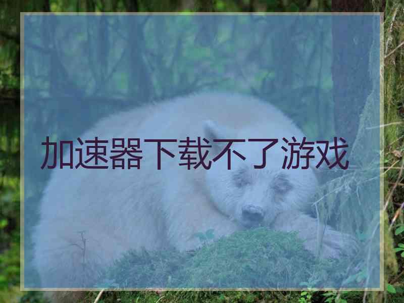 加速器下载不了游戏