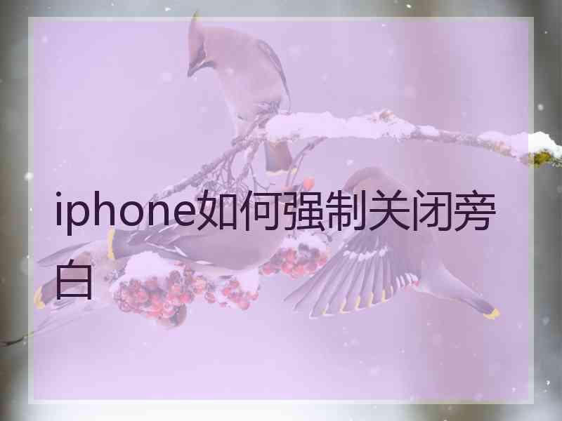 iphone如何强制关闭旁白