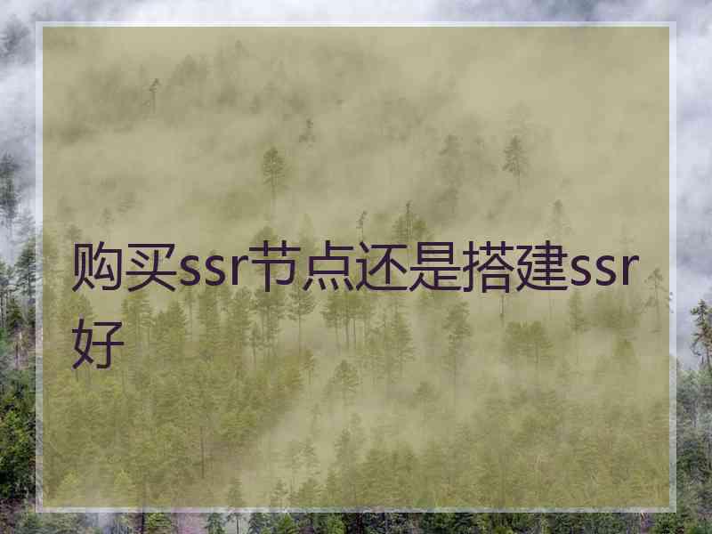 购买ssr节点还是搭建ssr好