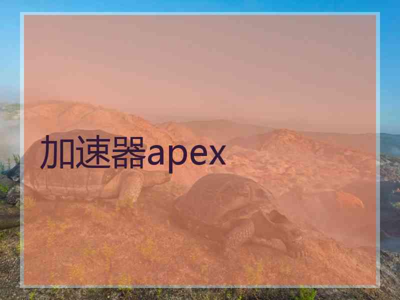 加速器apex