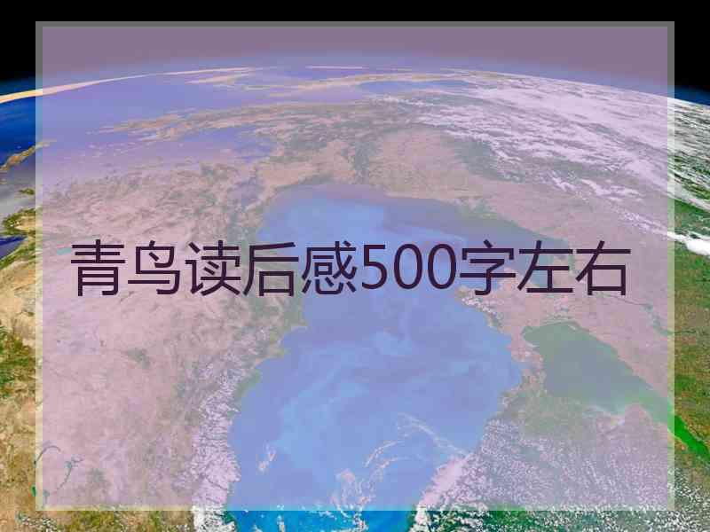 青鸟读后感500字左右