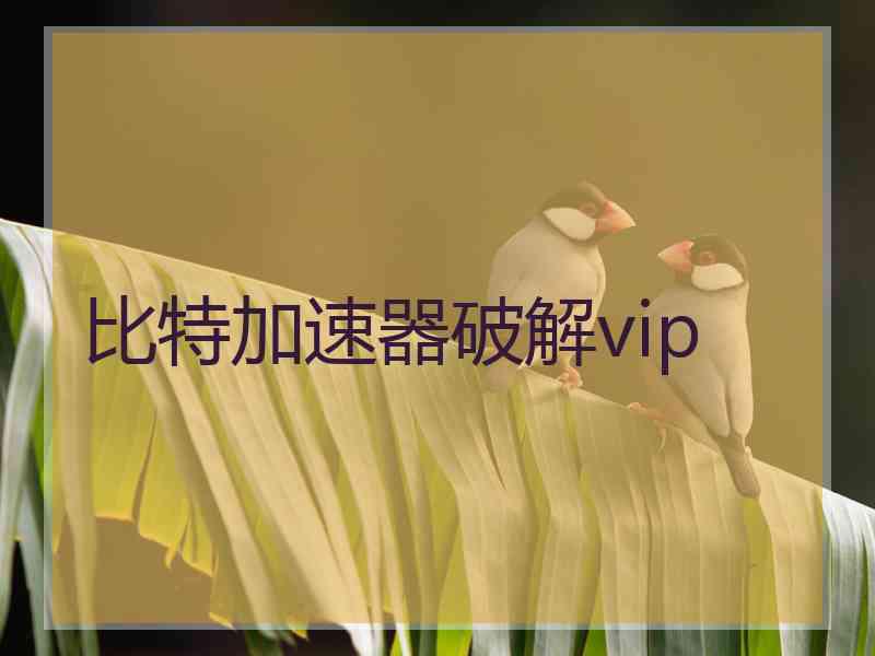 比特加速器破解vip