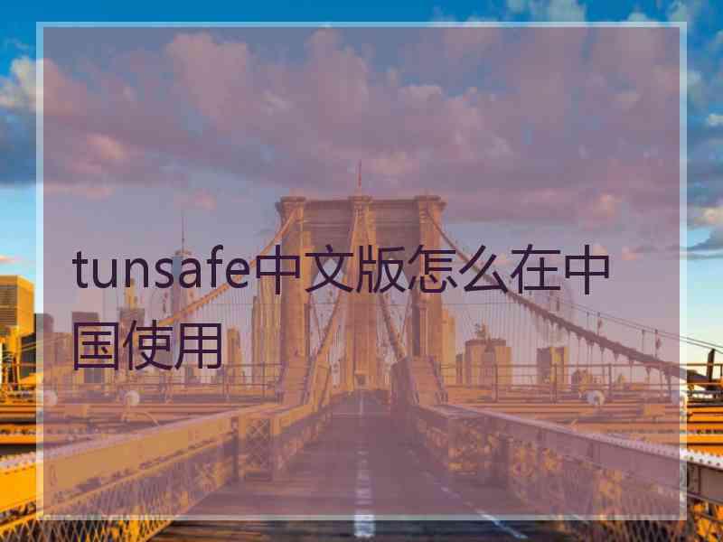 tunsafe中文版怎么在中国使用