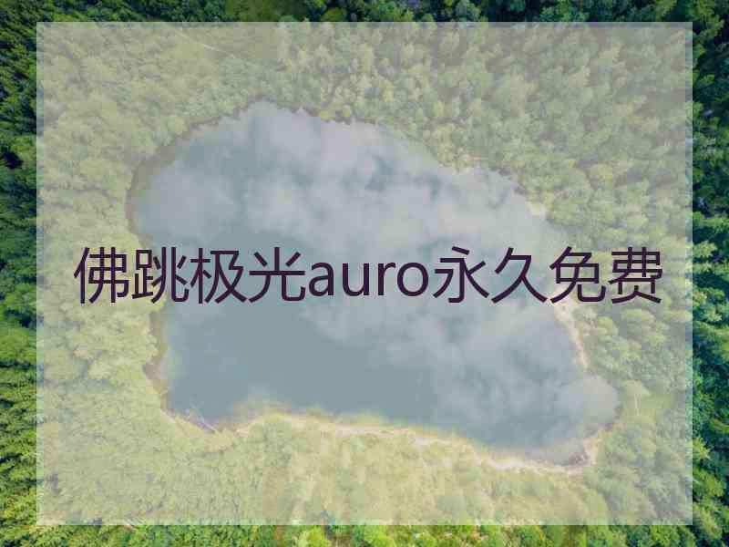 佛跳极光auro永久免费