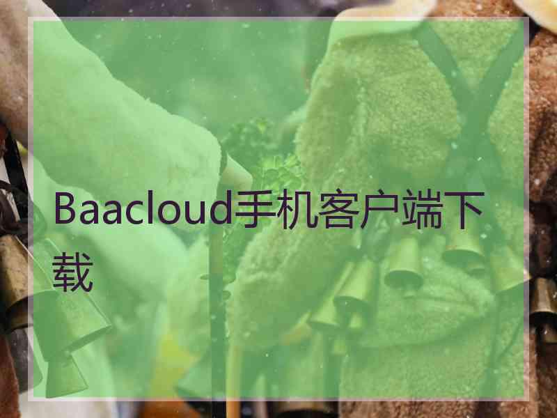 Baacloud手机客户端下载