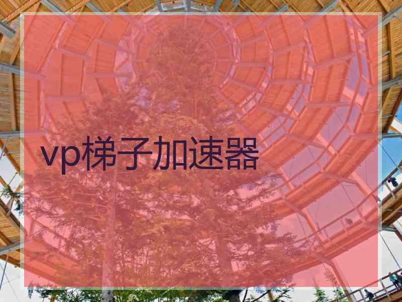 vp梯子加速器