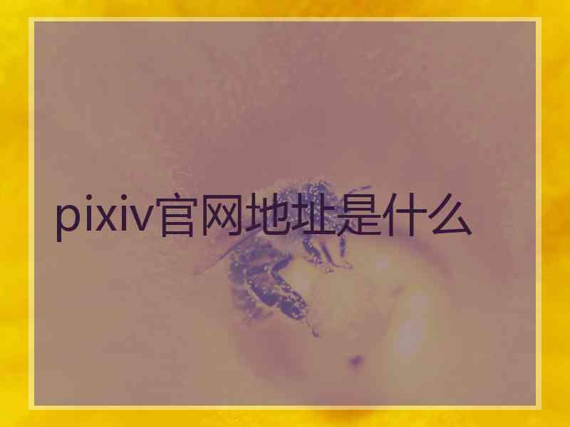 pixiv官网地址是什么