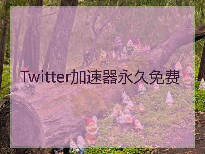 Twitter加速器永久免费