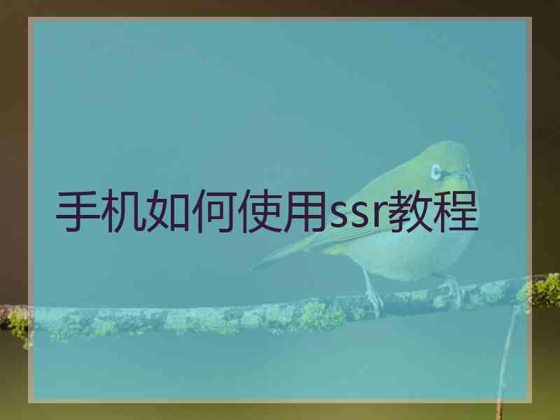 手机如何使用ssr教程