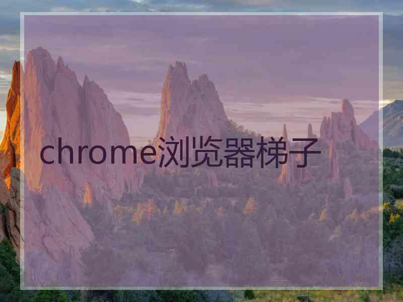 chrome浏览器梯子