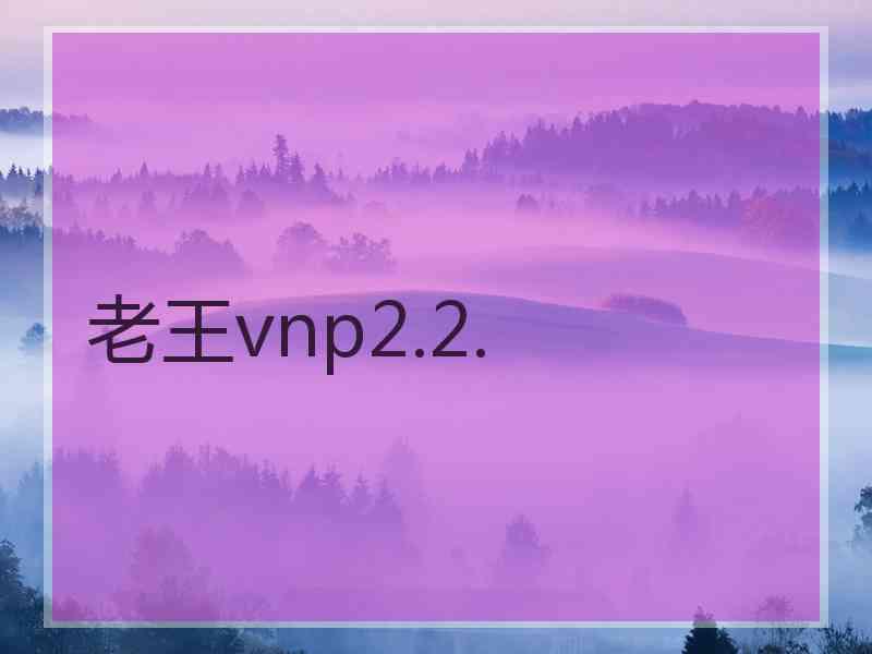 老王vnp2.2.