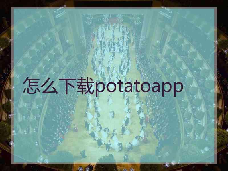 怎么下载potatoapp